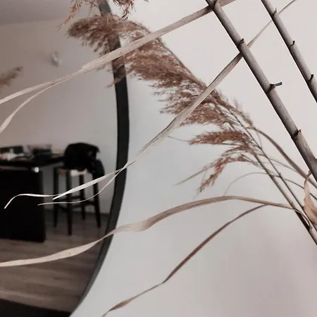 Boho 4 Pools 10min To The ブルガス